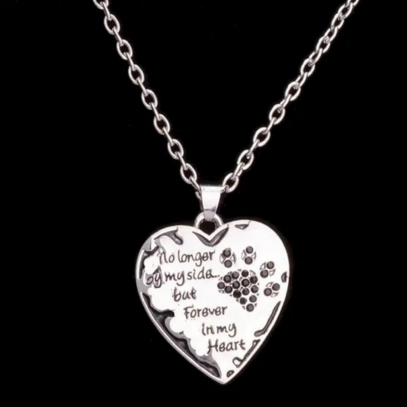 New Pet "No Longer By My Side But Forever in My ♥️" Memorial Necklace - Picture 3 of 4